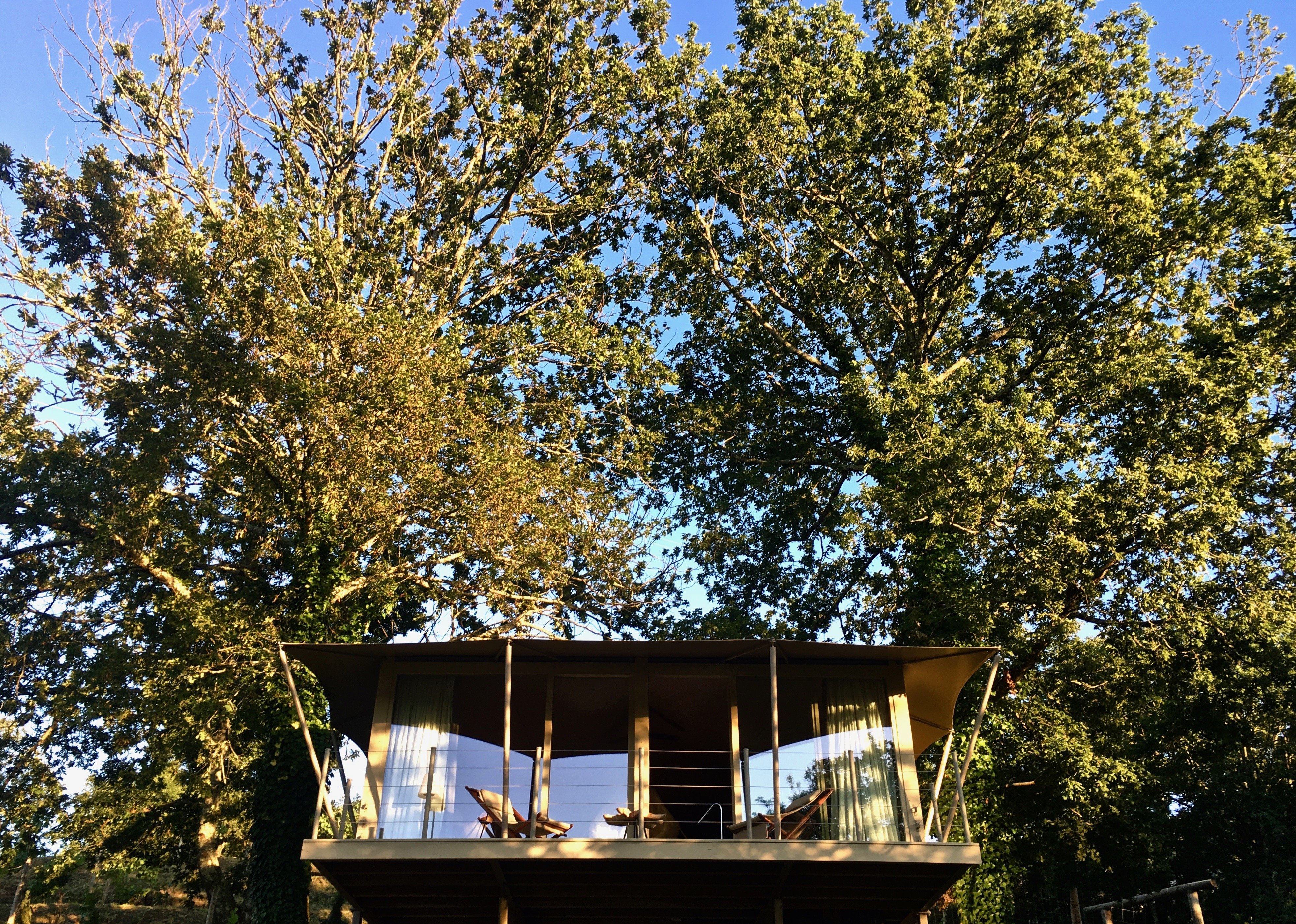 Carmo s Boutique Hotel-guestroom-Tent Suite Privilege - Glamping style with private garden .jpg