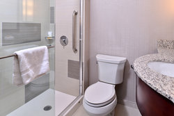  - Holiday Inn Times Square South New York