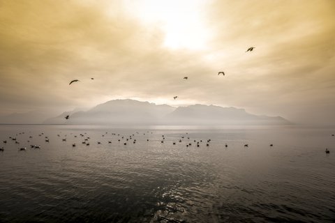 HOTEL DES TROIS COURONNES - Photo 33