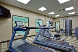  - Holiday Inn Express & Suites Nepean