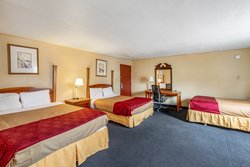  - Red Carpet Inn Stamford - I-95, Exit 9