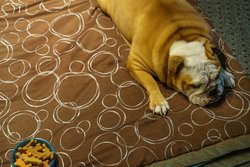  - Staybridge Suites Glen Mills