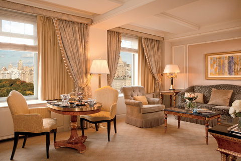 THE RITZ-CARLTON CENTRAL PARK - Photo 27