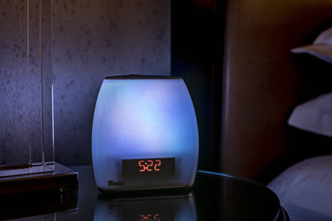 THE RITZ-CARLTON ATLANTA - Photo 13