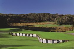  - Ritz-Carlton Resort Hotel Amelia Island