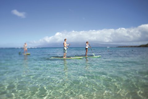 THE RITZ-CARLTON KAPALUA - Photo 10