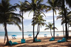  - Ritz-Carlton Hotel Isla Verde San Juan