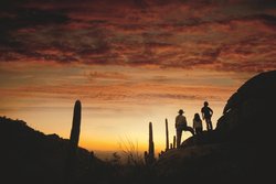  - Ritz-Carlton Hotel Dove Mountain Marana