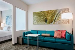  - SpringHill Suites by Marriott Schaumburg