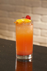  - Marriott Detroit Metro Airport Hotel Romulus