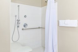  - SpringHill Suites by Marriott Brookhollow Houston