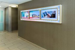  - SpringHill Suites by Marriott Brookhollow Houston