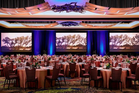 JW MARRIOTT SAN ANTONIO HILL COUNTRY RESORT & SPA - Photo 118