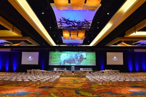 JW MARRIOTT SAN ANTONIO HILL COUNTRY RESORT & SPA - Photo 119