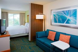  - SpringHill Suites by Marriott Six Flags Lithia Springs