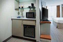  - SpringHill Suites by Marriott Downtown Chicago