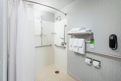  - SpringHill Suites by Marriott Downtown Chicago