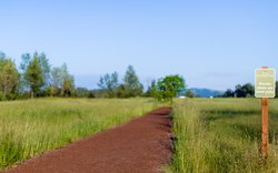  - Holiday Inn Express & Suites Eugene