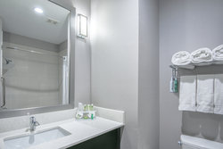  - Holiday Inn Express & Suites Bush Airport Houston - I-45, Exit 60A