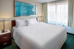  - SpringHill Suites by Marriott Willow Grove