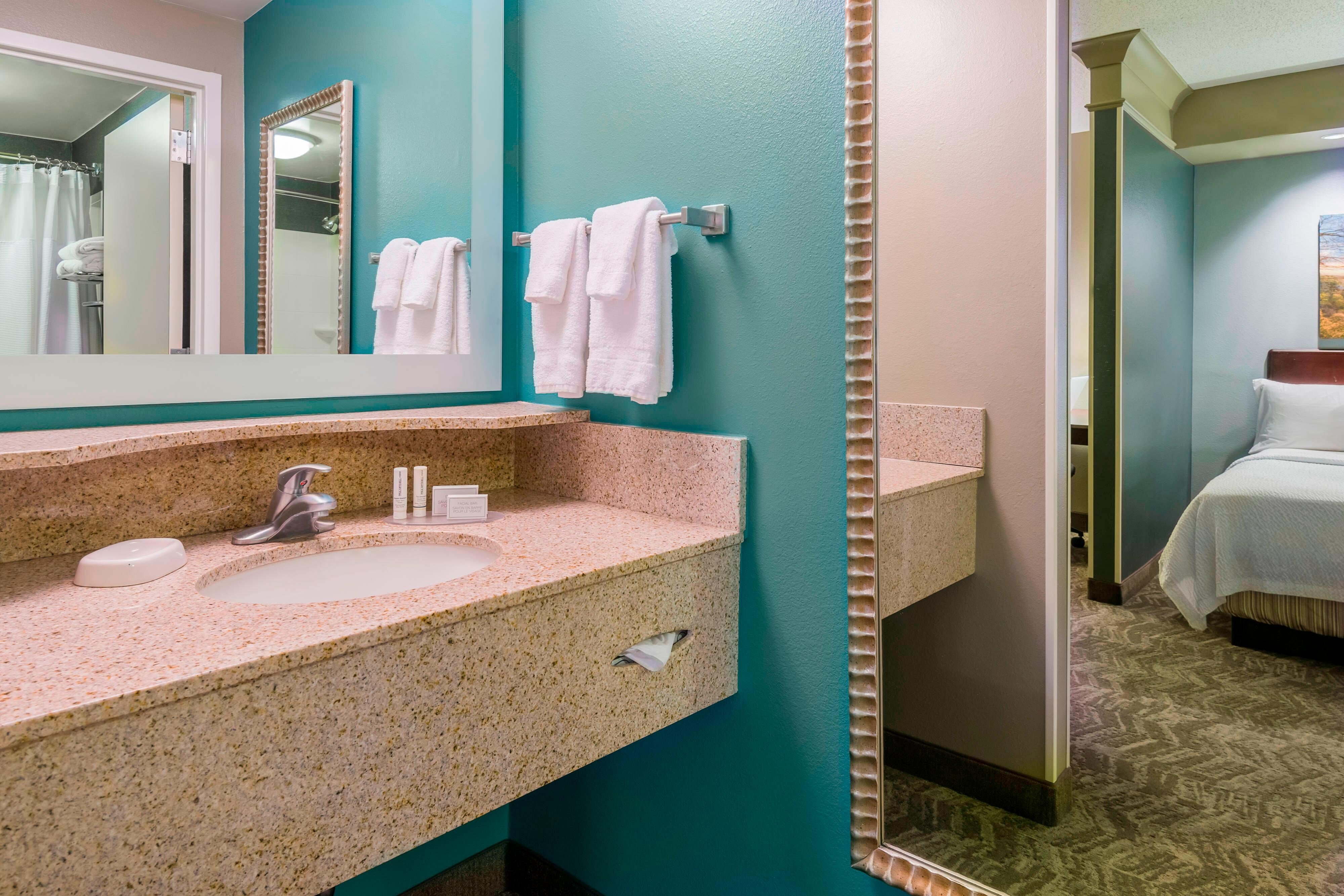 Suite Bathroom