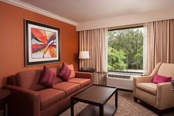  - Delta Hotel by Marriott Orlando