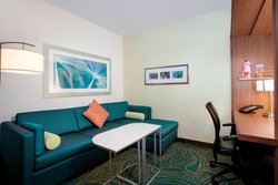  - SpringHill Suites by Marriott Flamingo Crossings Bay Lake