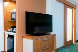  - SpringHill Suites by Marriott Munster