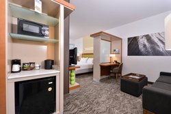  - SpringHill Suites by Marriott John Wayne Airport Irvine