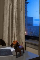  - Current Iowa Hotel Davenport