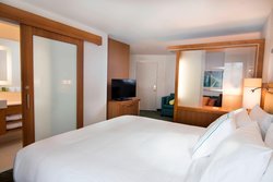  - SpringHill Suites by Marriott Wisconsin Dells