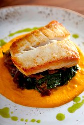  - JW Marriott Hotel Mall of America Minneapolis