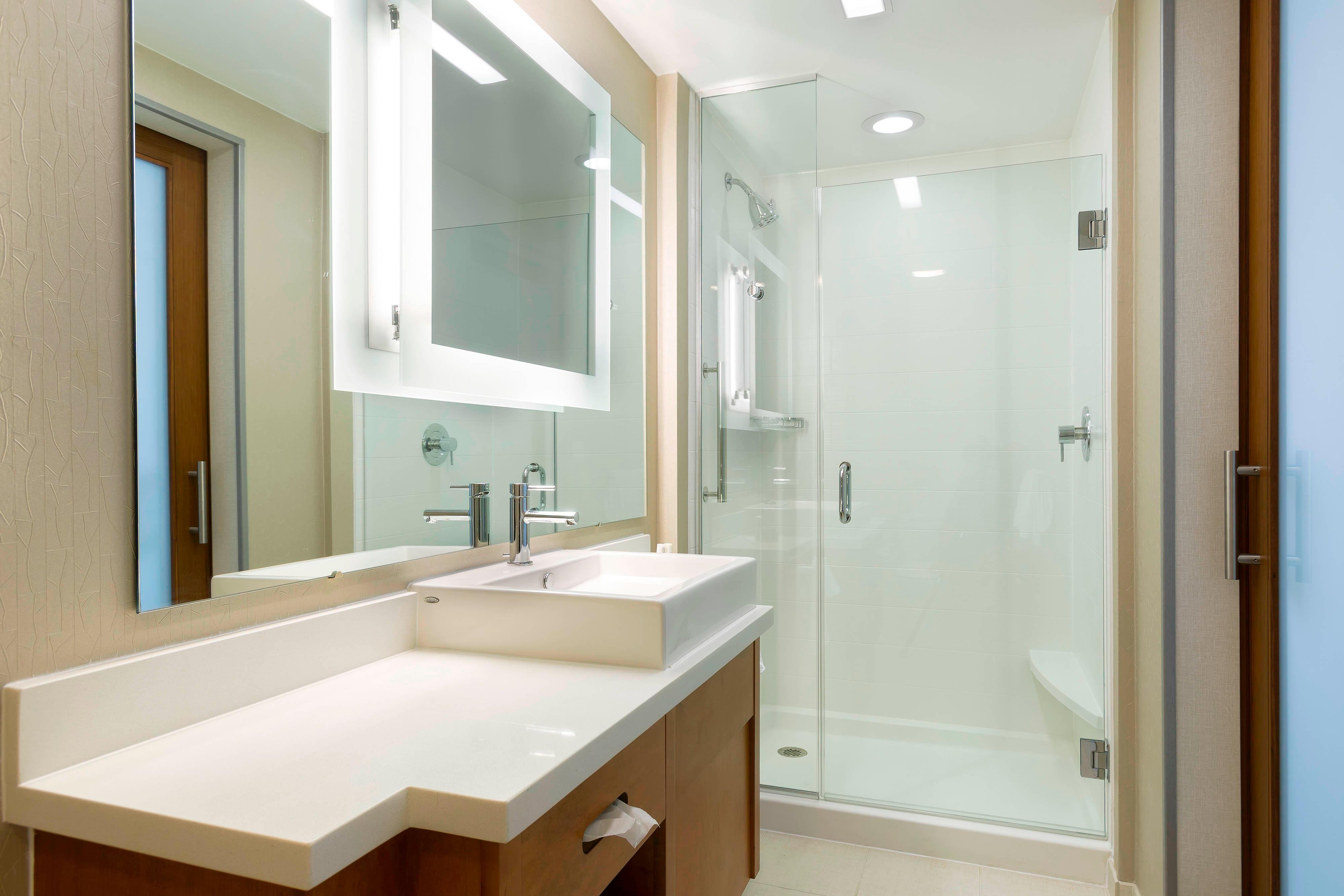 Suite Bathroom - Shower