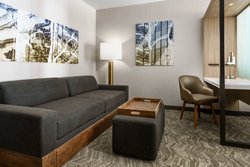  - SpringHill Suites by Marriott Redwood Shores Belmont