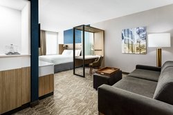  - SpringHill Suites by Marriott Redwood Shores Belmont