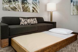  - SpringHill Suites by Marriott Redwood Shores Belmont