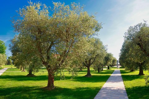 JW MARRIOTT VENICE RESORT & SPA - Photo 62