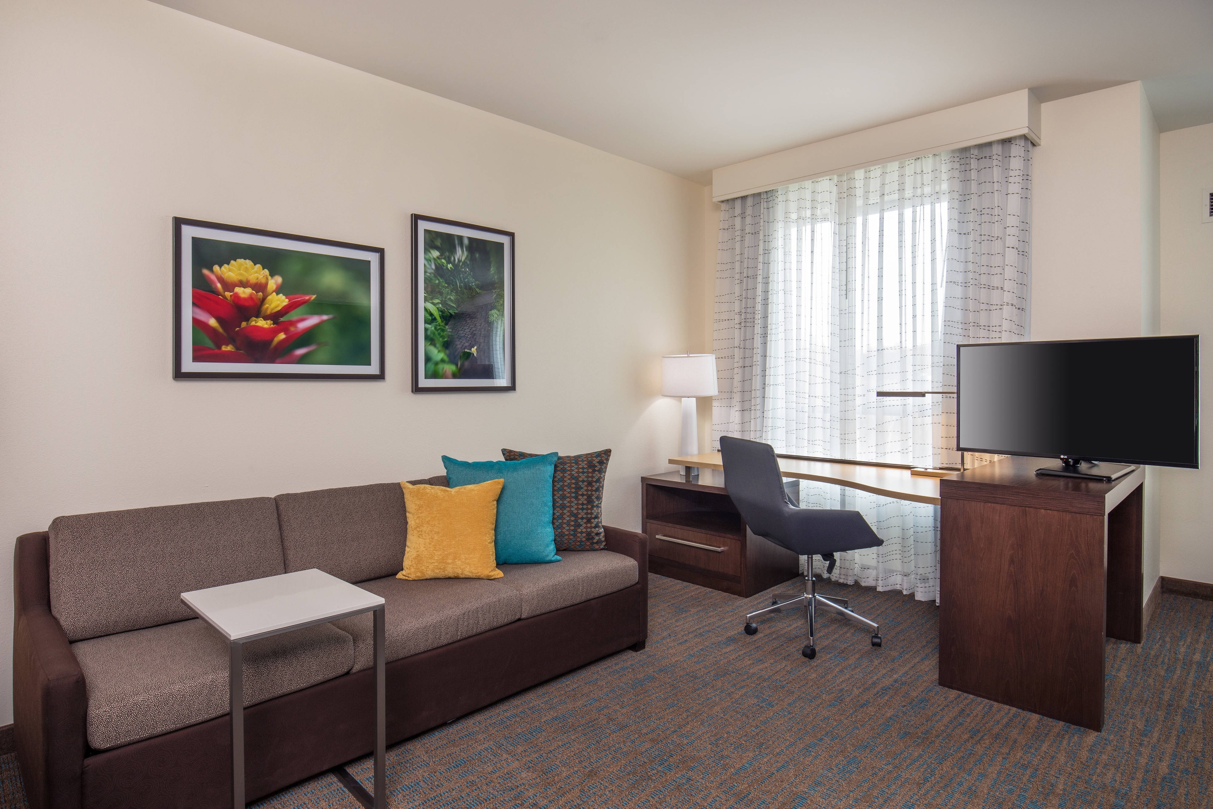 Studio Suite - Living Area