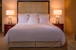  - Marriott Hotel BWI Airport Linthicum