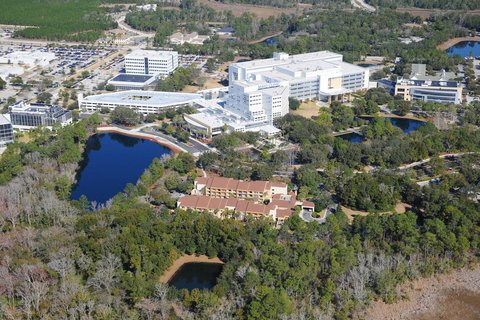 Courtyard Jacksonville Mayo Clinic/Beach