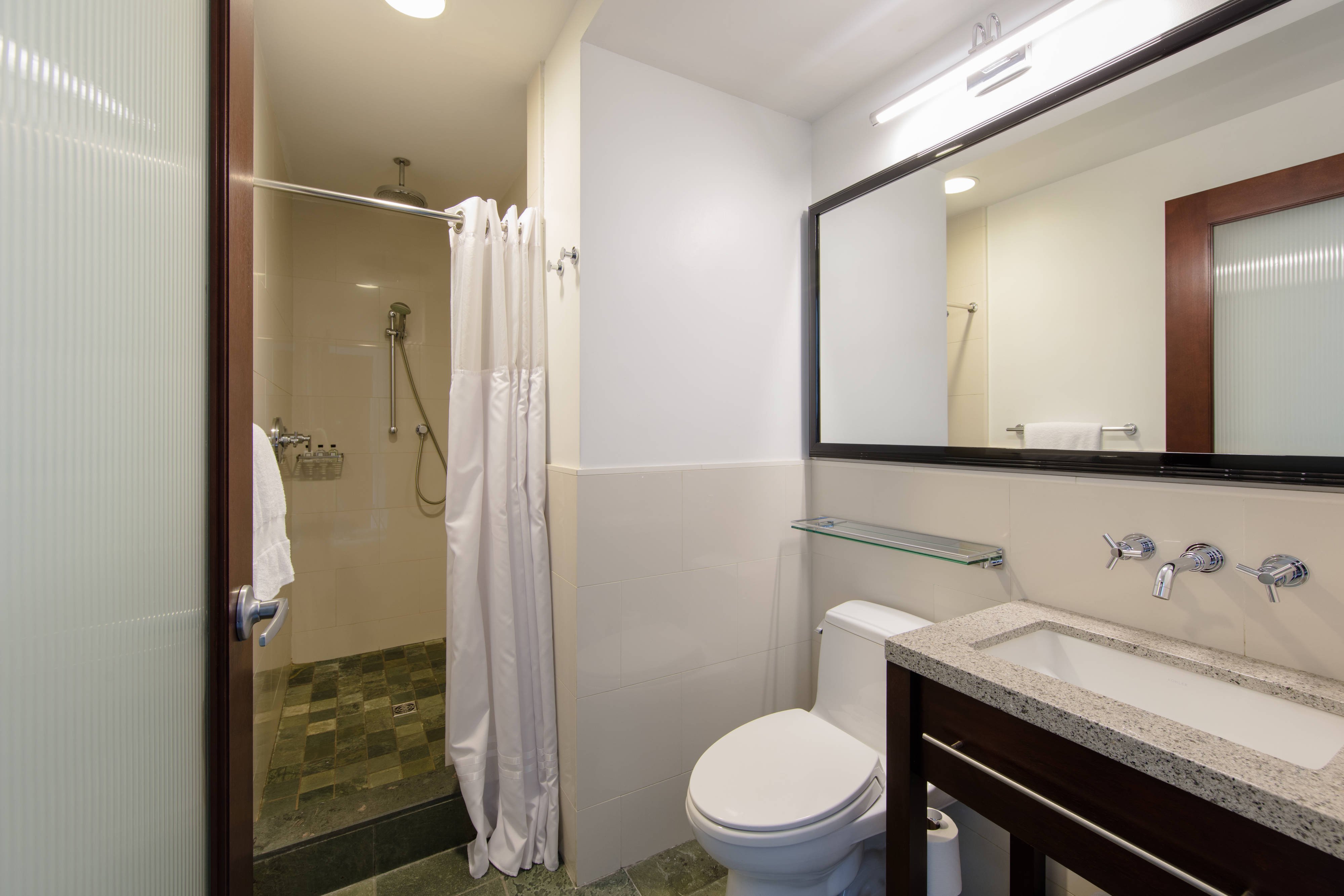 Deluxe King Guest Room - Bathroom