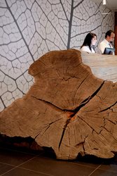  - Hotel Paradox Santa Cruz