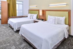  - SpringHill Suites by Marriott Detroit Airport Romulus