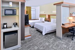  - SpringHill Suites by Marriott Detroit Airport Romulus
