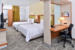  - SpringHill Suites by Marriott Detroit Airport Romulus