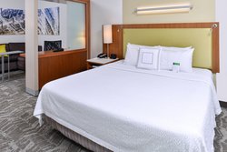  - SpringHill Suites by Marriott Detroit Airport Romulus