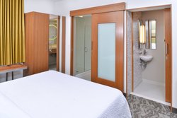  - SpringHill Suites by Marriott Detroit Airport Romulus