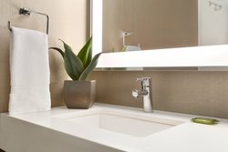  - Delta Hotel by Marriott Romulus