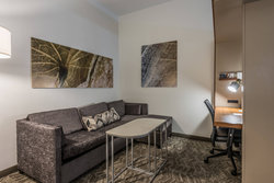  - SpringHill Suites by Marriott Statesboro