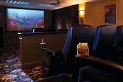  - Marriott Vacation Club Manor Williamsburg